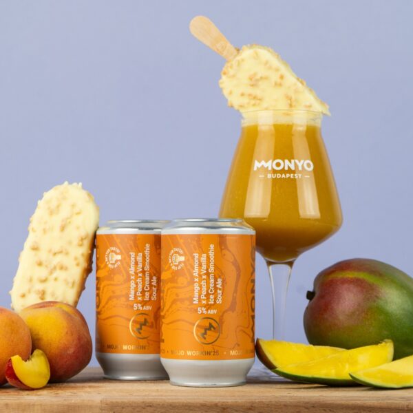 MANGO X ALMOND X PEACH X VANILLA ICE CREAM SMOOTHIE SOUR ALE