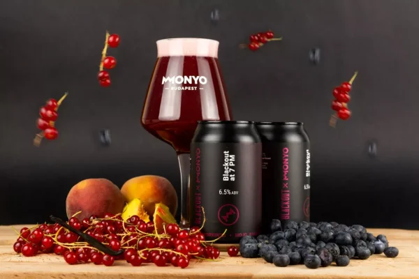 BLACKOUT X MONYO - BLACKOUT AT 7 PM SOUR ALE