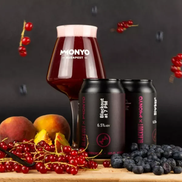 BLACKOUT X MONYO - BLACKOUT AT 7 PM SOUR ALE
